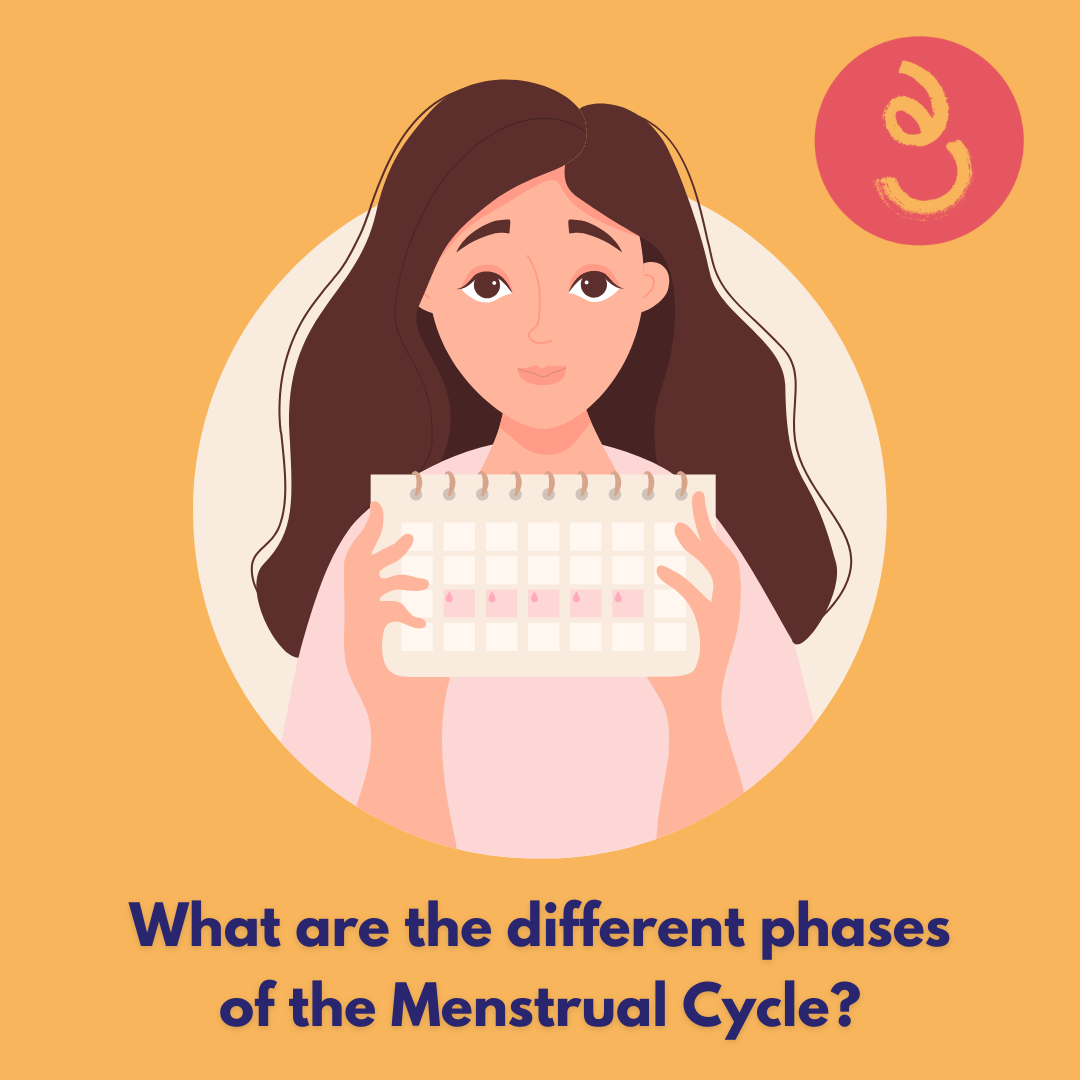 menstrual cycle, period cycle, what is menstrual cycle, menstrual cycle phases, menstruation phases, menstrual health and menstrual hygiene initiative